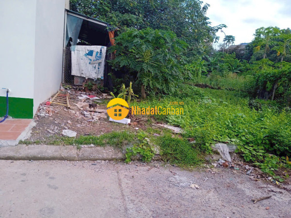 Bán đất đấu giá my hạ đối diện vườn hoa gần bệnh viện