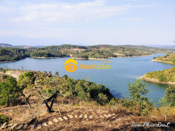 Bán 4ha đất có 2000m thổ cư view toàn cảnh hồ đại ninh,đức trọng,lâm đồng.2.5 triệum2